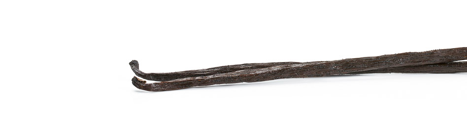 Vanille