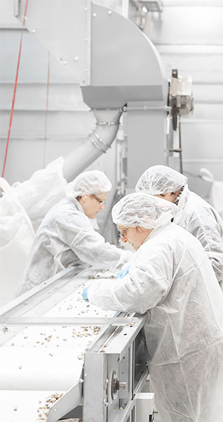 Visionfood Produktion