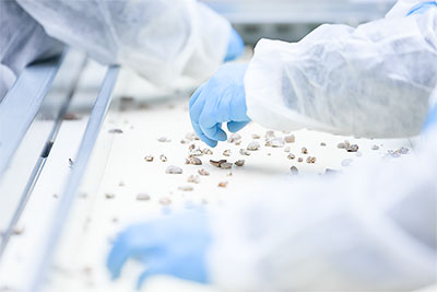 Visionfood Produktion